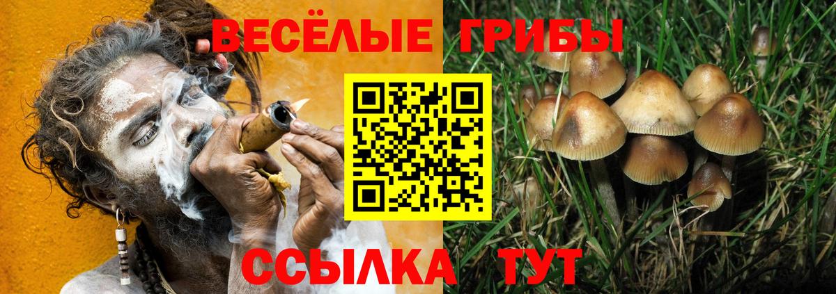 Вичуга  Псилоцибиновые грибы прущие грибы  Вход с VPN 